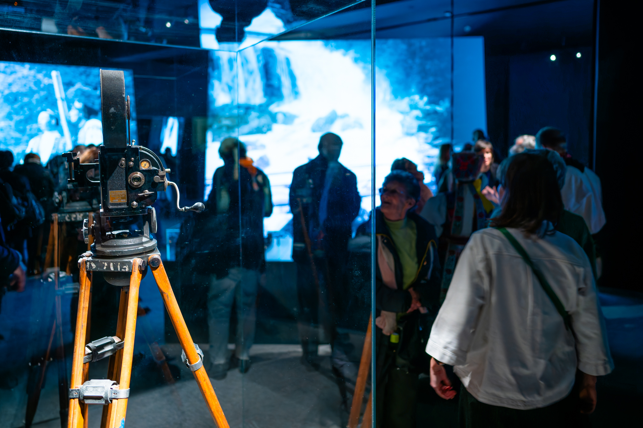 DSC 4397 DxO DeepPRIME XD2s